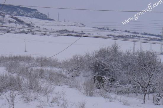 посока мадарските скали