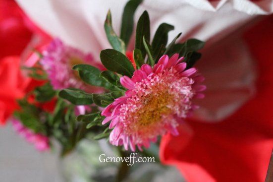 rsz_img_5730-2
